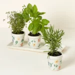 Ceramic Windowsill Herb Garden