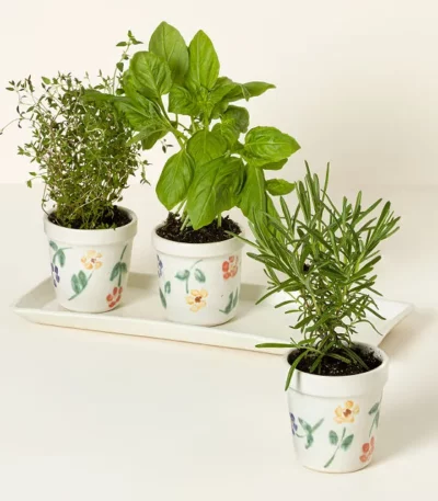 Ceramic Windowsill Herb Garden