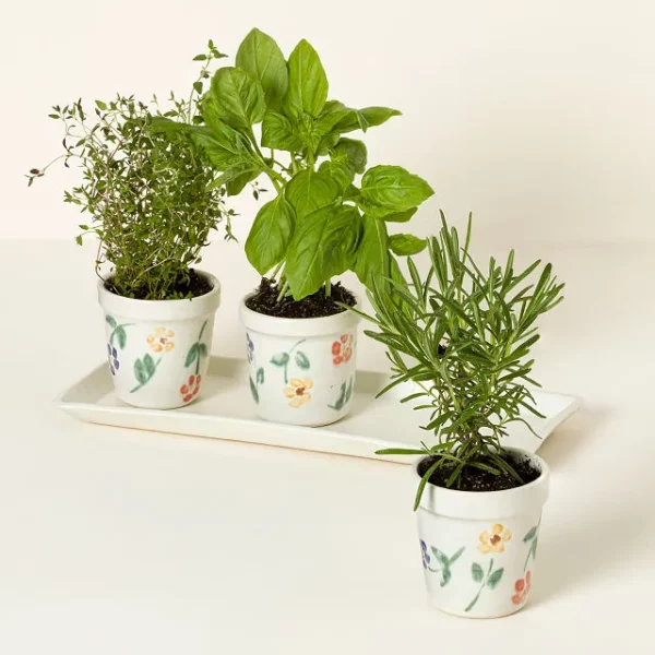 Ceramic Windowsill Herb Garden