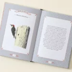 City Bird Metro Bird Guide 1