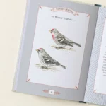 City Bird Metro Bird Guide 3