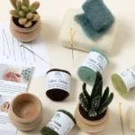 Diy Potted Succulent Trio Needle Felting Kit 1