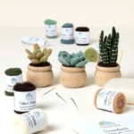 Diy Potted Succulent Trio Needle Felting Kit