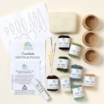 Diy Potted Succulent Trio Needle Felting Kit 2