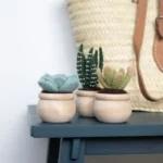 Diy Potted Succulent Trio Needle Felting Kit 3