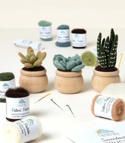 Diy Potted Succulent Trio Needle Felting Kit