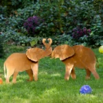 Elephants Intertwined Garden Sculpture Set