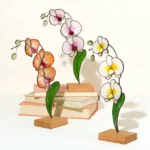 Everlasting Stained Glass Orchid