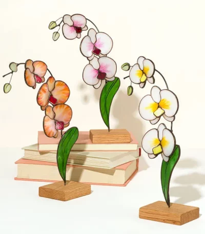 Everlasting Stained Glass Orchid