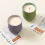 Flame To Flora Seed Kit Candle 1