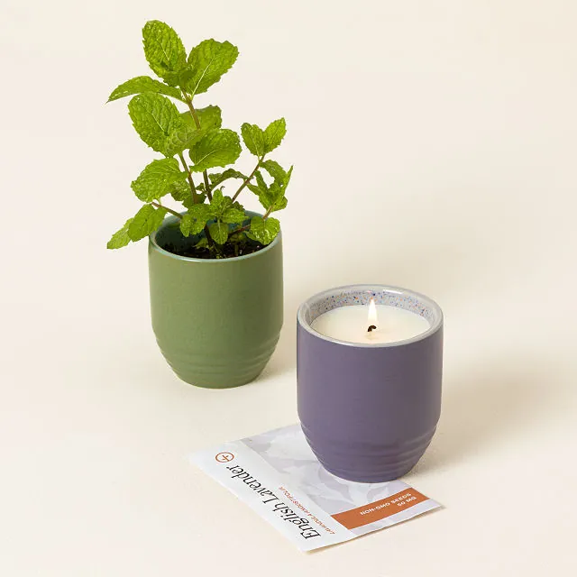 Flame To Flora Seed Kit Candle
