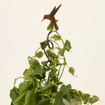 Hummingbird Climbing Stake