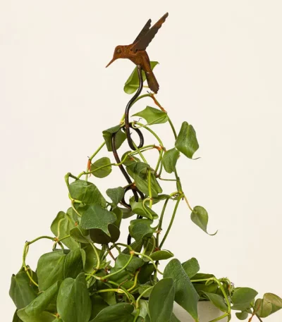 Hummingbird Climbing Stake