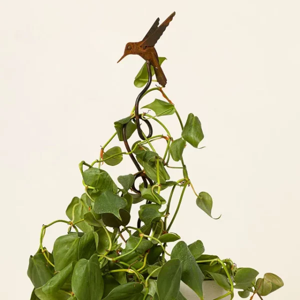 Hummingbird Climbing Stake