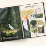 Illustrated National Parks Guide Book 2