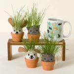 It’s Sprouting Cats & Dogs, 2 Grow Kits