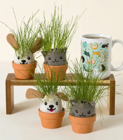 It’s Sprouting Cats & Dogs, 2 Grow Kits