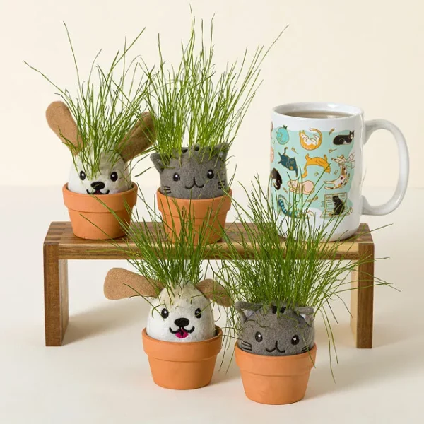 It’s Sprouting Cats & Dogs, 2 Grow Kits