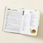 Kid's Guides To Backyard Birds & Bugs Set 3