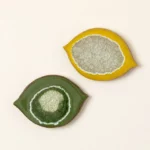 Lemon & Lime Coaster Set 2