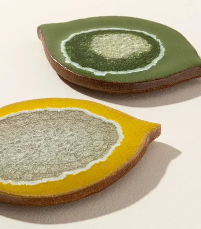Lemon & Lime Coaster Set