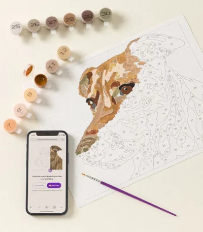 Paint Your Pet By Number Portrait Kit