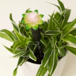 Planter Water Alarm 1