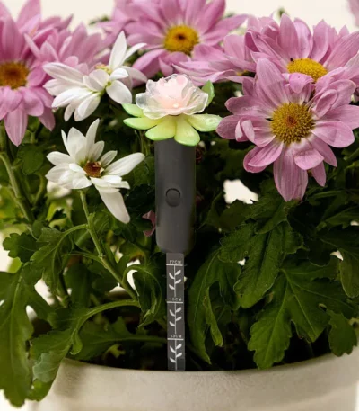 Planter Water Alarm