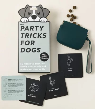 Puppy Party Trick Training Set