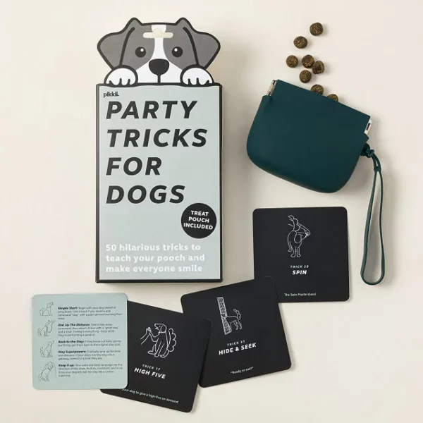 Puppy Party Trick Training Set