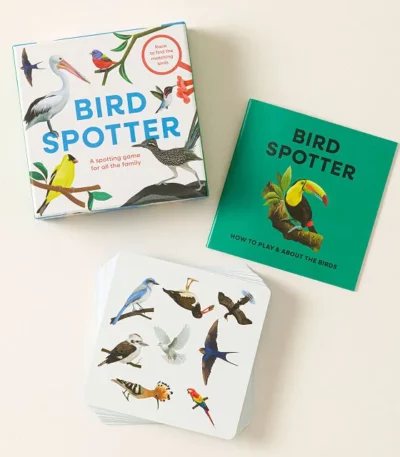 Race To Spot The Birds Family Card Game