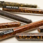 Scoville Scale Chili Pepper Tasting Kit 2