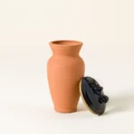 Self-watering Terracotta Olla 1