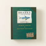 Sharks And Other Sea Monsters Deluxe Pop-up