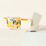 Stan The Sponge Bird 2