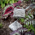 Stone Pollinator Bath