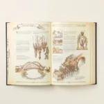 The Hand Illustrated Book Of Everything 3