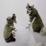 Water Resistant Packable Doggy Rain Jacket 1