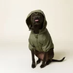 Water Resistant Packable Doggy Rain Jacket