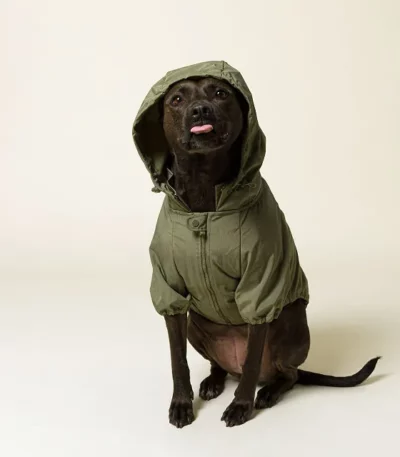 Water Resistant Packable Doggy Rain Jacket
