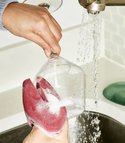 Wine Glass Sponge